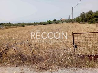 Οικόπεδο 3.016 τ.μ. για πώληση