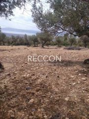 Αγροτεμάχια 4.000 τ.μ. προς πώληση, Γυμνό Αμαρύνθου-thumb-1