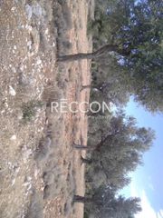 Αγροτεμάχια 4.000 τ.μ. προς πώληση, Γυμνό Αμαρύνθου-thumb-3