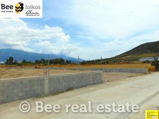 Αγροτεμάχια 4.888 τ.μ. πρός ενοικίαση, Μαγνησία, Αισωνία-thumb-6