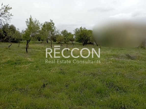 Οικόπεδο 1.200 τ.μ. για πώληση, Εύβοια, Αμάρυνθος