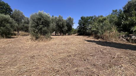 Οικόπεδο 1.152,16 τ.μ. πρός πώληση