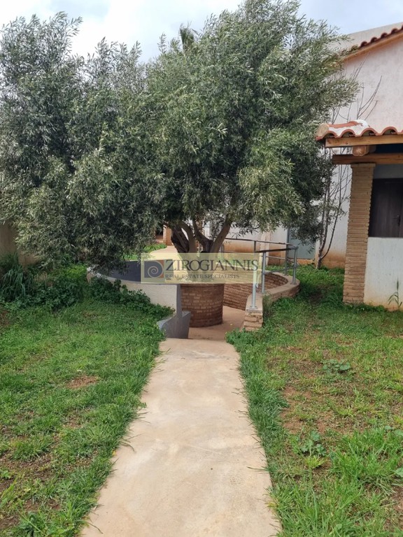 Μονοκατοικία 160 τ.μ. προς ενοικίαση, Κέντρο Αναβύσσου