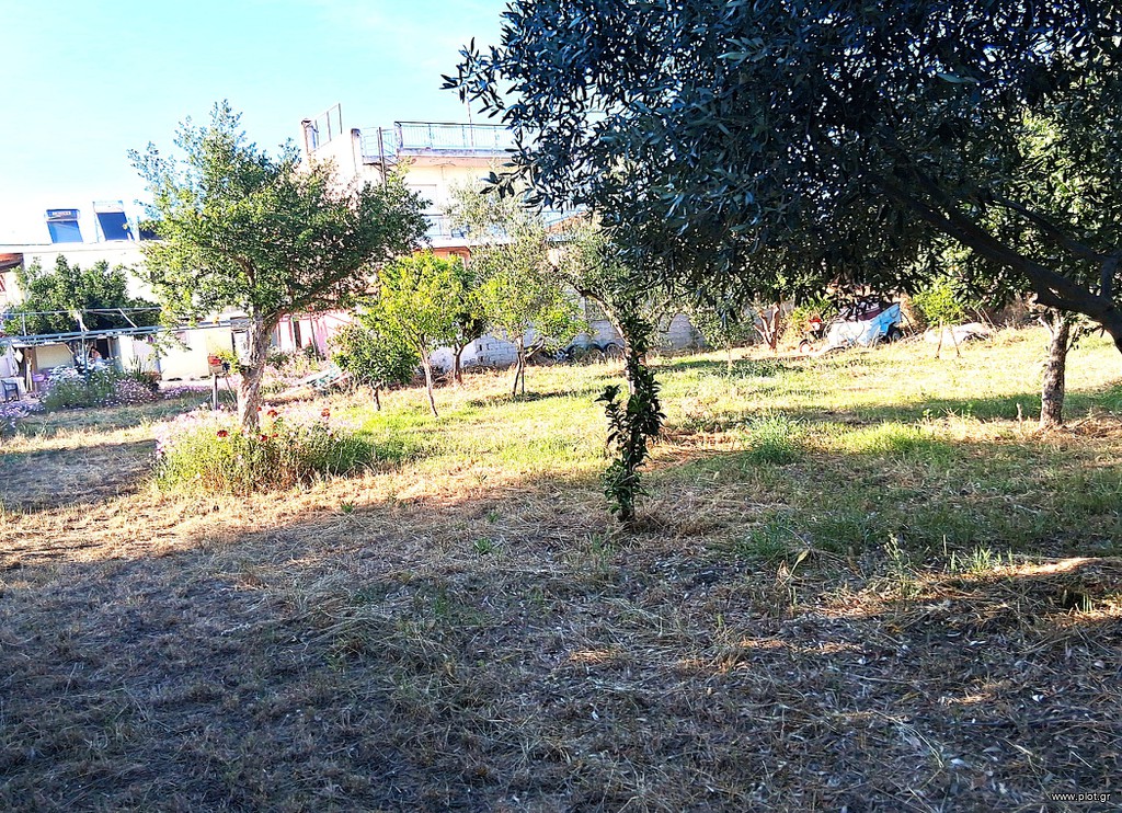 Οικόπεδο 1.314 τ.μ. για πώληση, Μεσσηνία, Μεσσήνη