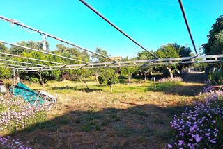 Οικόπεδο 1.314 τ.μ. για πώληση, Μεσσηνία, Μεσσήνη-thumb-2