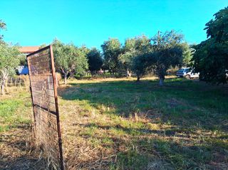 Οικόπεδο 1.314 τ.μ. για πώληση, Μεσσηνία, Μεσσήνη-thumb-6