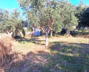 Οικόπεδο 1.314 τ.μ. για πώληση, Μεσσηνία, Μεσσήνη-thumb-7