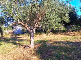 Οικόπεδο 1.314 τ.μ. για πώληση, Μεσσηνία, Μεσσήνη-thumb-8