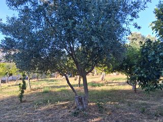 Οικόπεδο 1.314 τ.μ. για πώληση, Μεσσηνία, Μεσσήνη-thumb-11