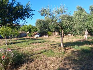 Οικόπεδο 1.314 τ.μ. για πώληση, Μεσσηνία, Μεσσήνη-thumb-13