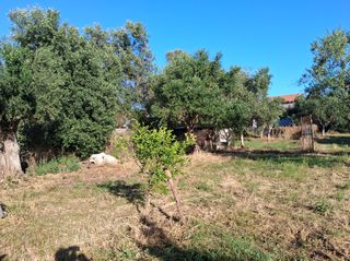 Οικόπεδο 1.314 τ.μ. για πώληση, Μεσσηνία, Μεσσήνη-thumb-18