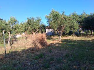 Οικόπεδο 1.314 τ.μ. για πώληση, Μεσσηνία, Μεσσήνη-thumb-19