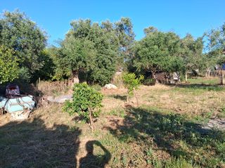 Οικόπεδο 1.314 τ.μ. για πώληση, Μεσσηνία, Μεσσήνη-thumb-21