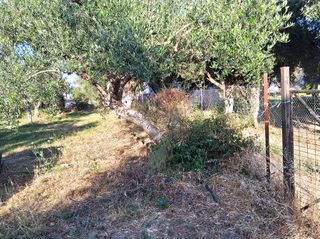 Οικόπεδο 1.314 τ.μ. για πώληση, Μεσσηνία, Μεσσήνη-thumb-24