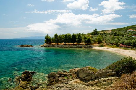 Αγροτεμάχια 4.000 τ.μ. πρός πώληση