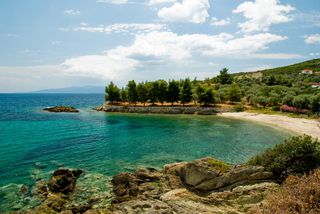 Αγροτεμάχια 4.000 τ.μ. πρός πώληση
