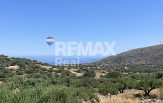 Οικόπεδο 1.559 τ.μ. για πώληση