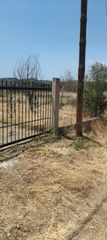 Οικόπεδο 1.375 τ.μ. για πώληση, Πέλλα, Εξαπλάτανος-thumb-1
