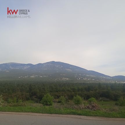 Parcel 3.192 sqm for sale, Rest Of Attica, Vilia