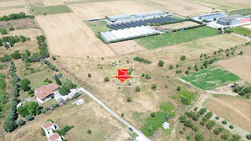 Αγροτεμάχια 11.630 τ.μ. πρός πώληση, Θεσσαλονίκη - Περιφ/Κοί Δήμοι, Θέρμη