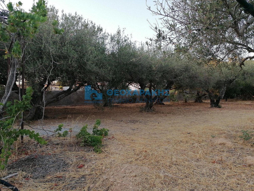 Οικόπεδο 1.236 τ.μ. πρός πώληση, Ν. Ηρακλείου, Γούβες