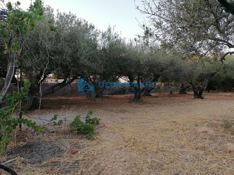 Οικόπεδο 1.236 τ.μ. πρός πώληση
