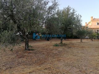 Οικόπεδο 1.236 τ.μ. πρός πώληση, Ν. Ηρακλείου, Γούβες-thumb-1