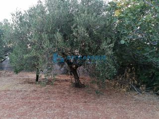Οικόπεδο 1.236 τ.μ. πρός πώληση, Ν. Ηρακλείου, Γούβες-thumb-3