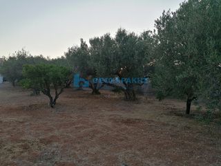 Οικόπεδο 1.236 τ.μ. πρός πώληση, Ν. Ηρακλείου, Γούβες-thumb-4