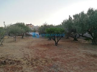 Οικόπεδο 1.236 τ.μ. πρός πώληση, Ν. Ηρακλείου, Γούβες-thumb-5