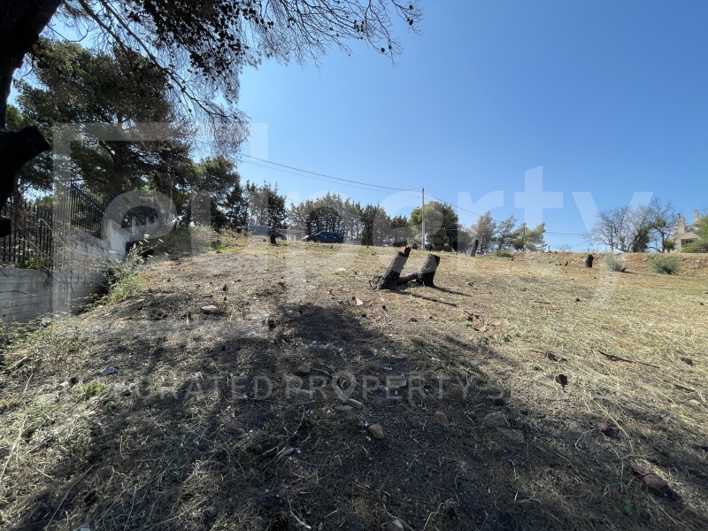 Οικόπεδο 795 τ.μ. πρός πώληση, Αθήνα - Βόρεια Προάστια, Χαλάνδρι