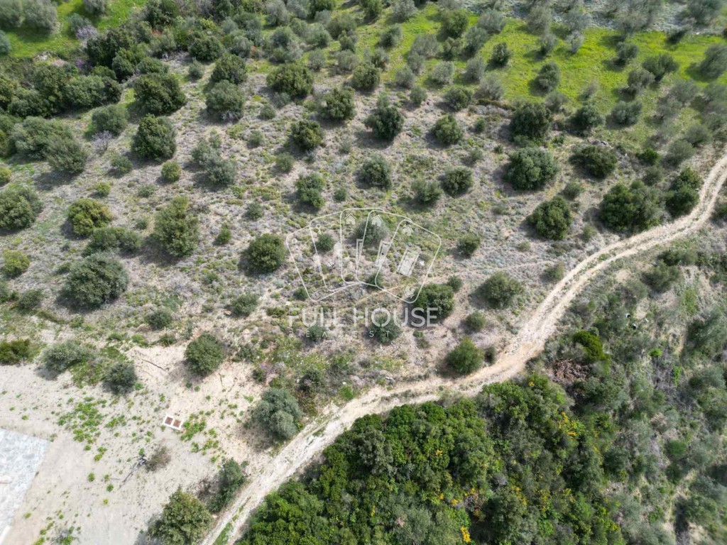 Αγροτεμάχια 6.000 τ.μ. πρός πώληση, Μαγνησία, Αργαλαστή