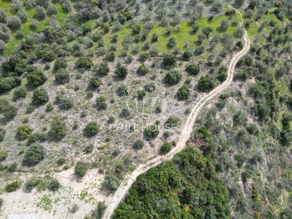 Αγροτεμάχια 6.000 τ.μ. πρός πώληση, Μαγνησία, Αργαλαστή