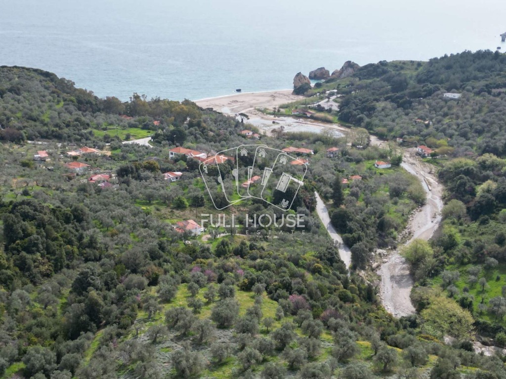 Αγροτεμάχια 6.000 τ.μ. πρός πώληση, Μαγνησία, Αργαλαστή