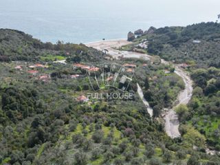 Αγροτεμάχια 6.000 τ.μ. για πώληση