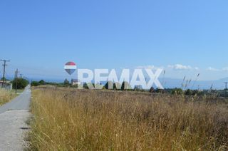 Αγροτεμάχια 6.336 τ.μ. για πώληση