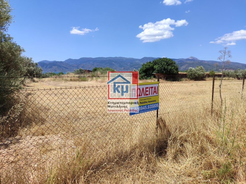 Οικόπεδο 13.900 τ.μ. πρός πώληση, Ν. Λέσβου, Λέσβος - Μυτιλήνη