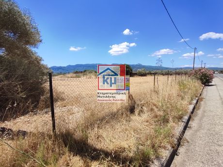 Οικόπεδο 13.900 τ.μ. προς πώληση