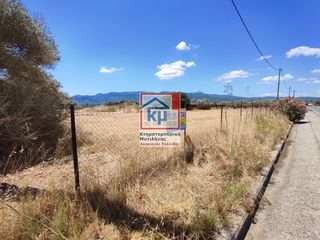 Οικόπεδο 13.900 τ.μ. για πώληση
