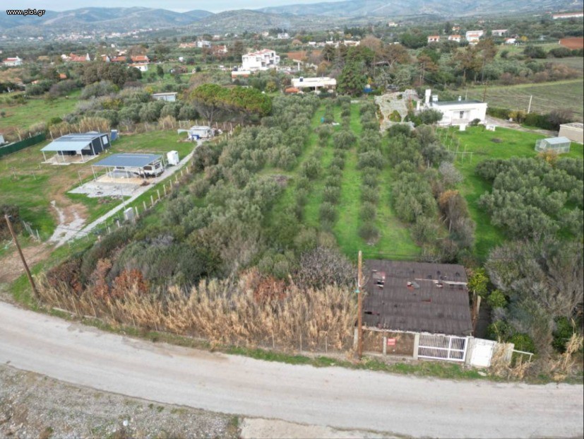 Μονοκατοικία 120 τ.μ. πρός πώληση, Εβρος, Αλεξανδρούπολη