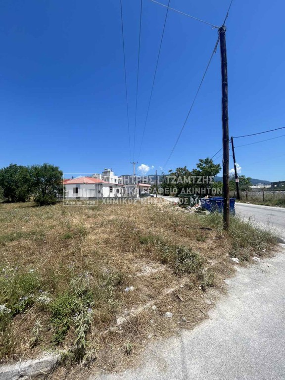 Οικόπεδο 800 τ.μ. πρός πώληση, Μαγνησία, Νέα Ιωνία Βόλου