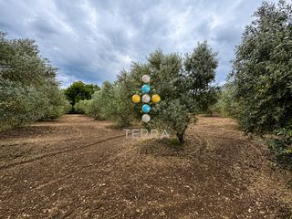 Οικόπεδο 3.978 τ.μ. για πώληση