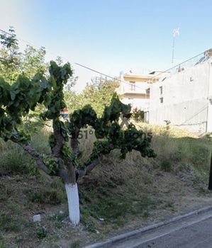 Οικόπεδο 656,19 τ.μ. προς πώληση