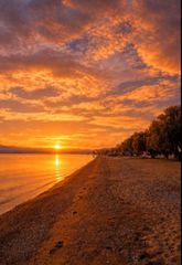 Μονοκατοικία 2.000 τ.μ. για πώληση