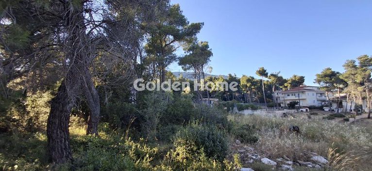 Land plot 1.009 sqm for sale, Athens - West, Acharnes