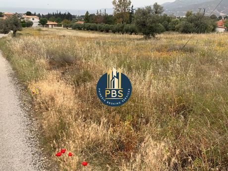 Οικόπεδο 3.843 τ.μ. προς πώληση