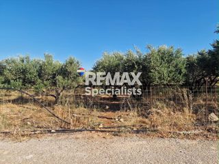 Οικόπεδο 2.424 τ.μ. για πώληση, Ν. Χανίων, Σούδα-thumb-5