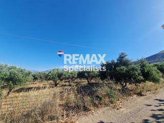 Οικόπεδο 2.424 τ.μ. για πώληση