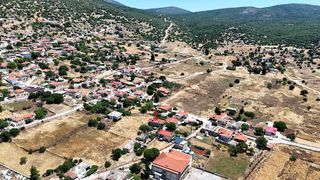 Μονοκατοικία 365 τ.μ. για πώληση, Αργολίδα, Μιδέα-thumb-4