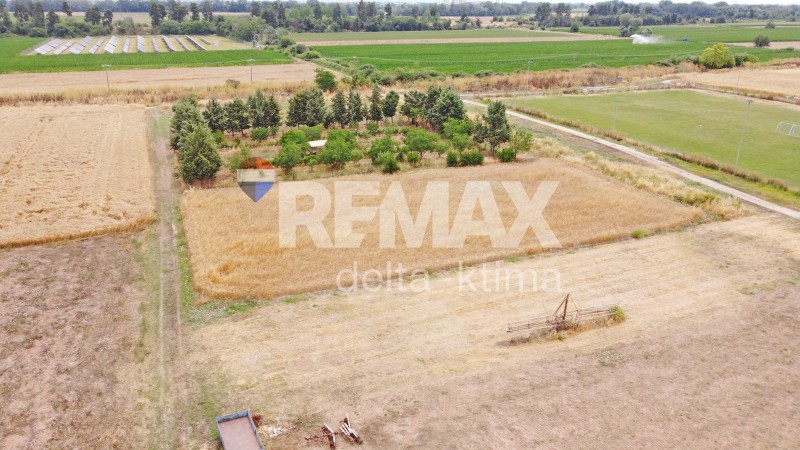 Οικόπεδο 1.000 τ.μ. πρός πώληση, Ν. Λάρισας, Γιαννούλη